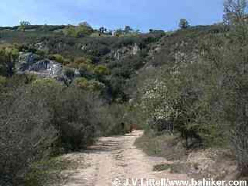 Approaching Black Diamond Trail