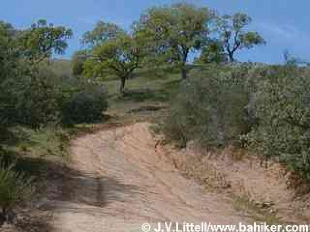 Black Diamond Trail