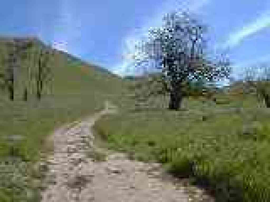 Beginning to climb