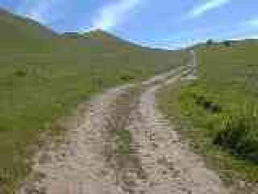 Climbing thrugh grassland