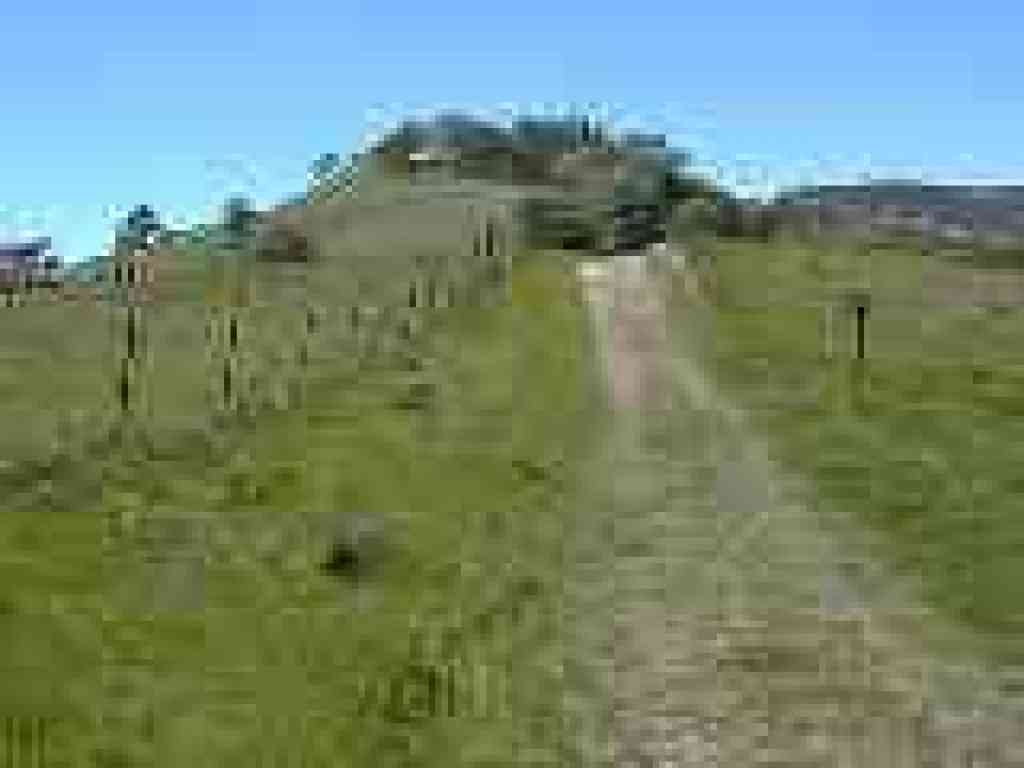 Ridge Trail