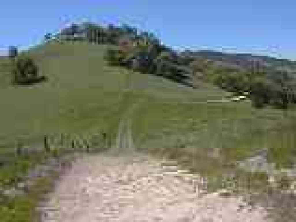 Ridge Trail
