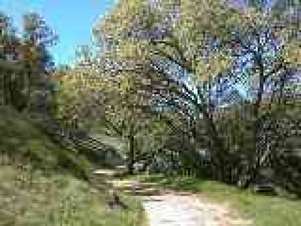 Ridge Trail