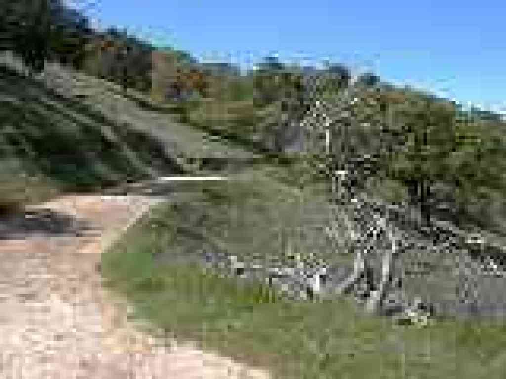 Ridge Trail
