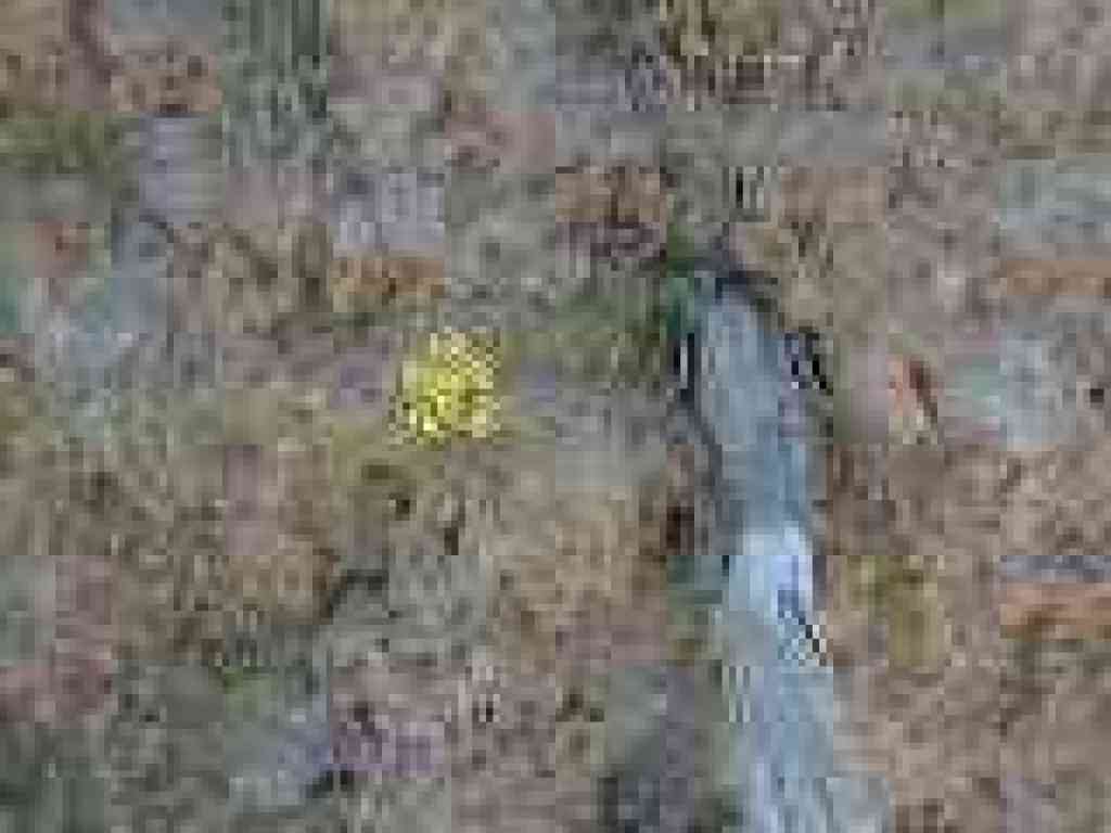 Flower growing out of rocky soil