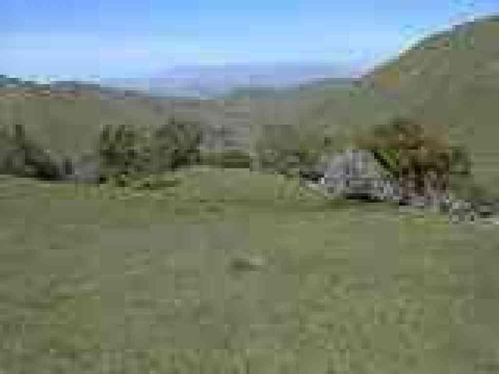 View north