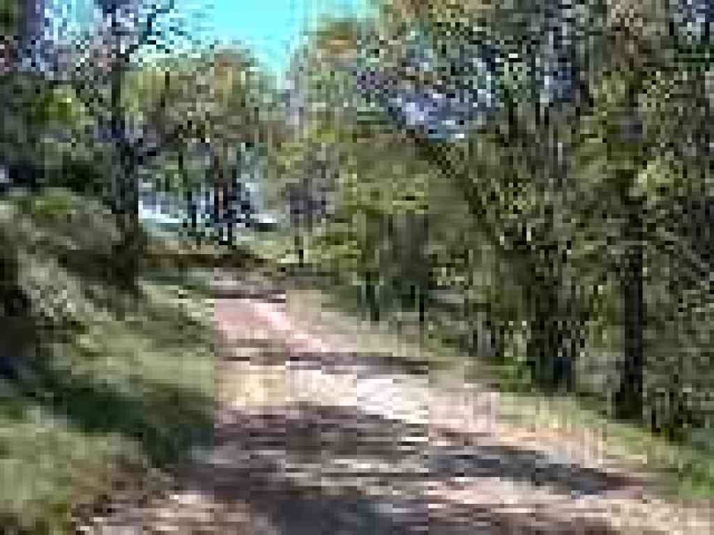 Ridge Trail