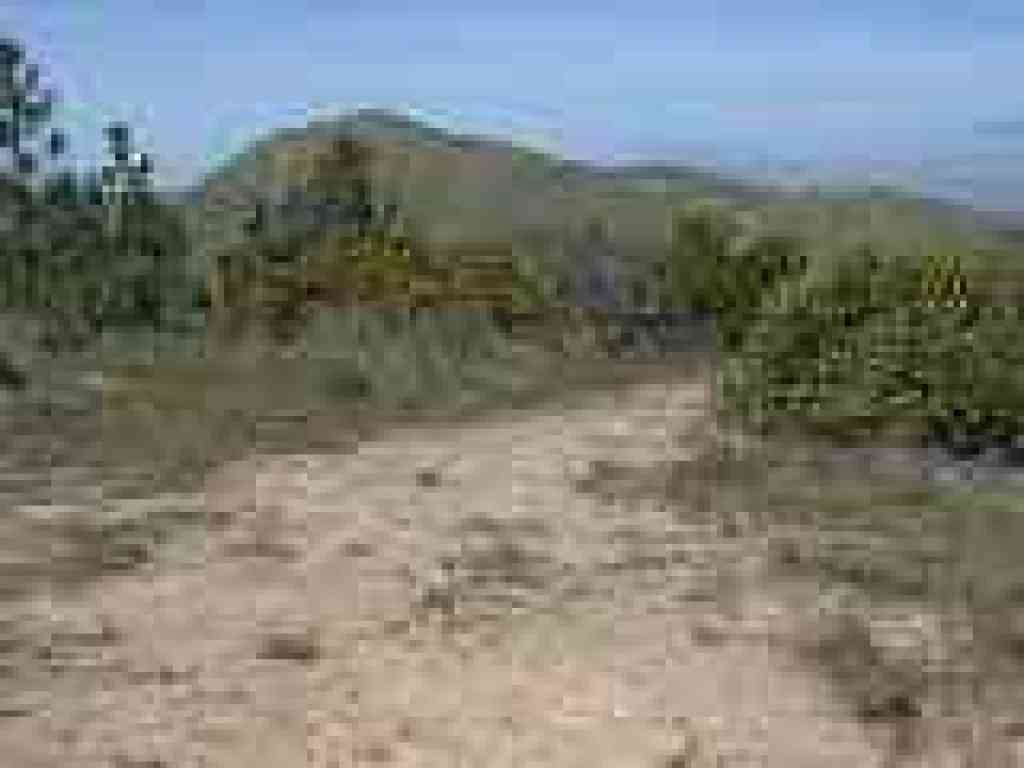 View from hilltop