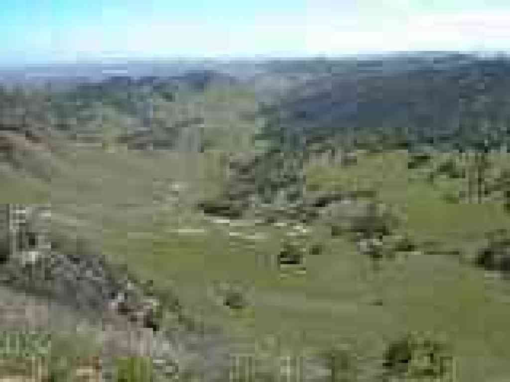 View into valley