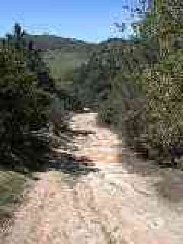Descent