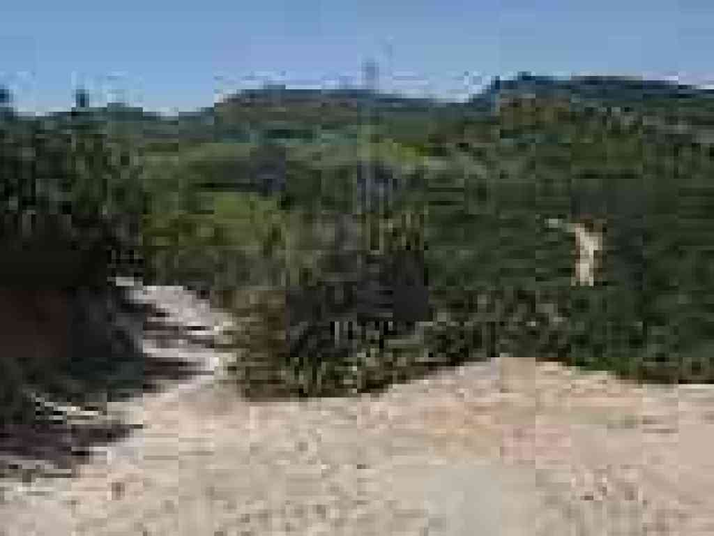 Ridge Trail