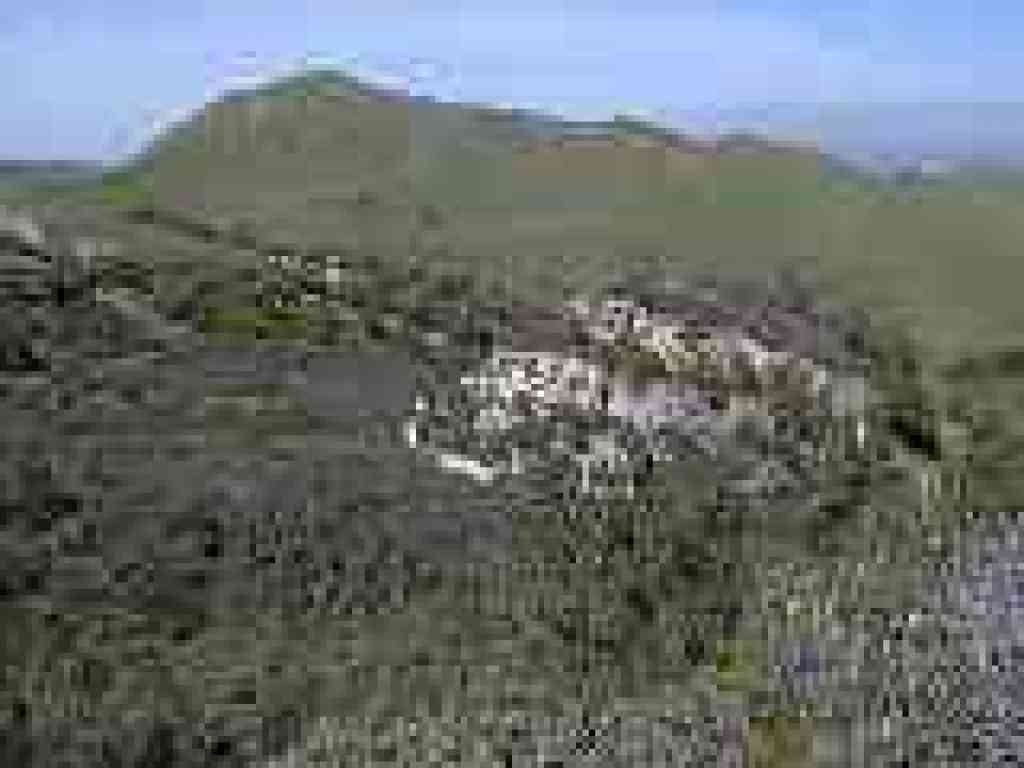 View north