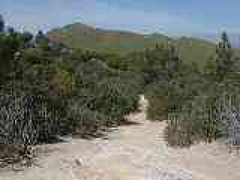 Chaparral Loop Trail