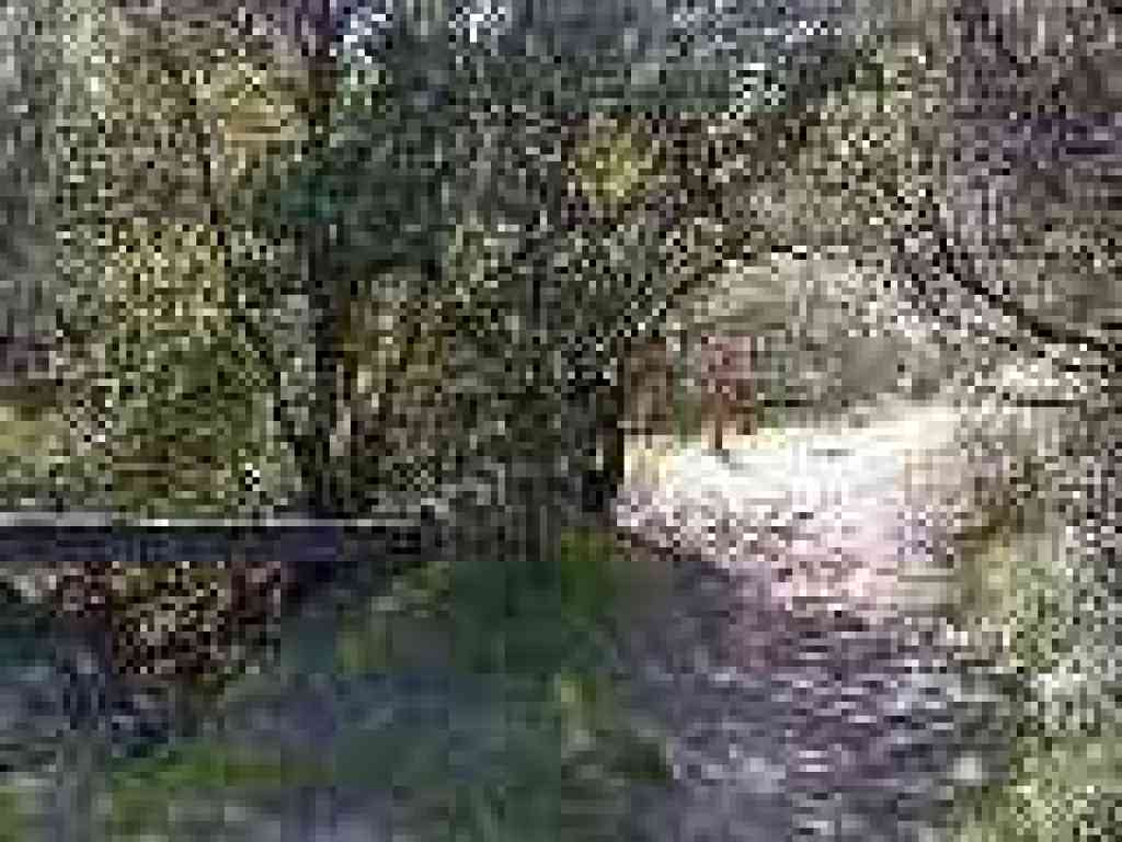 Junction