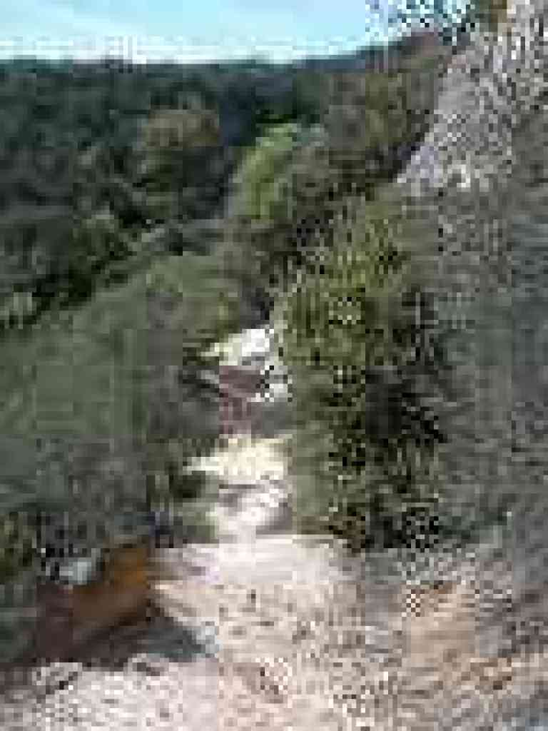 Path