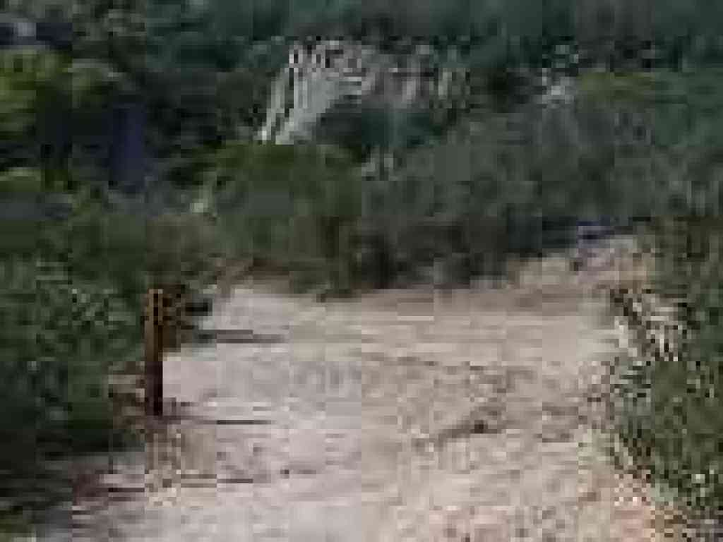 Junction