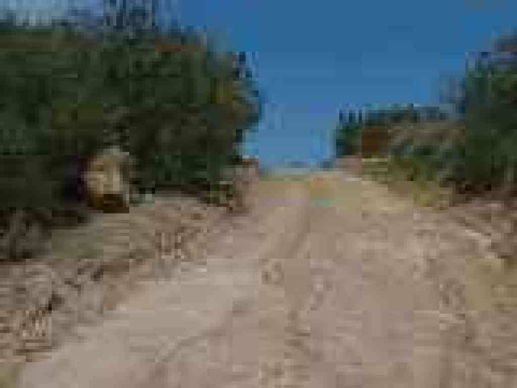 Black Diamond Trail
