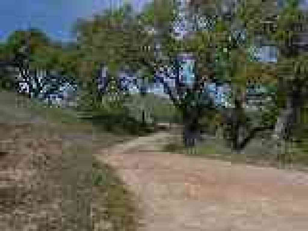 Cattle gate