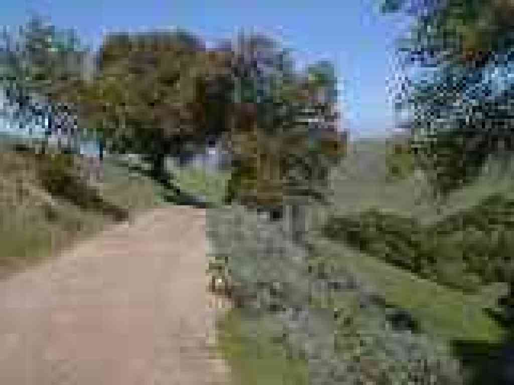 Black Diamond Trail