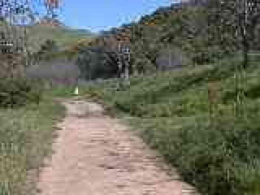 Junction