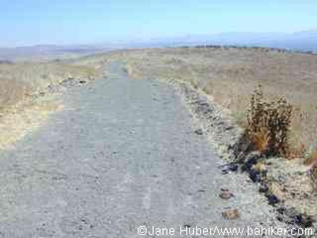 Red Tail Hawk Trail 