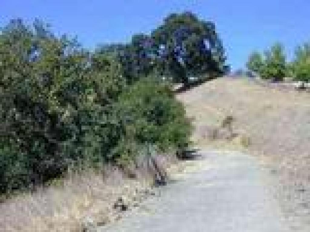 Single path into the preserve