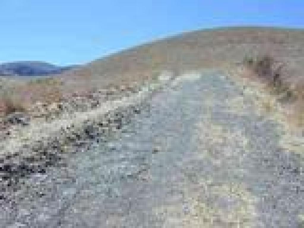 Grassland