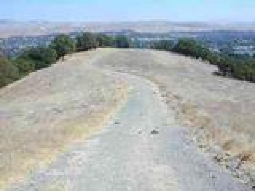 Grayfox Trail