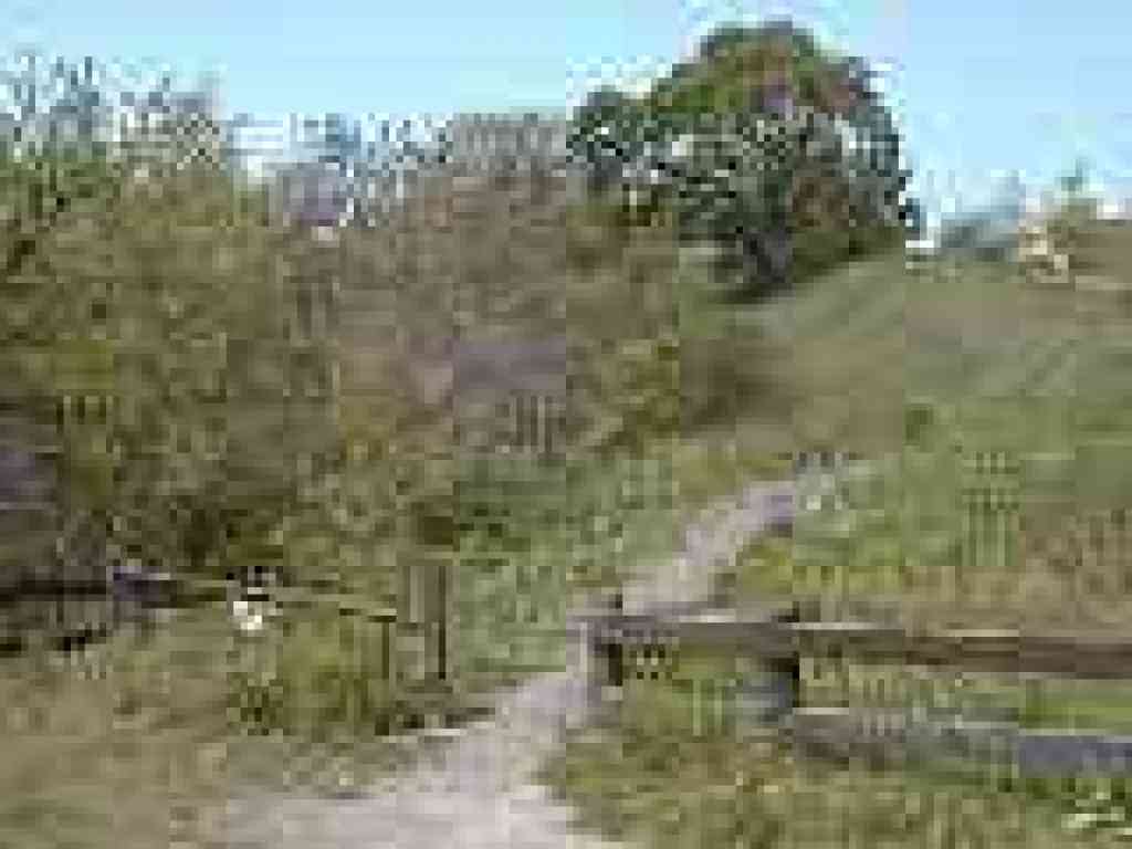 Trail start