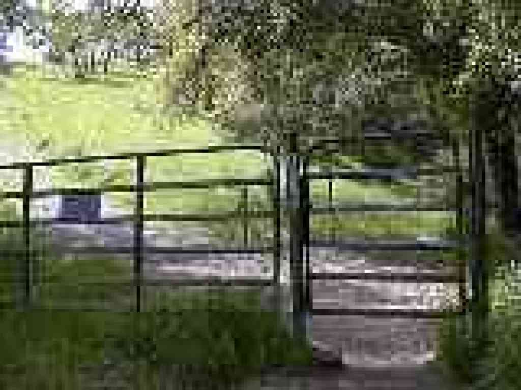 Cattle gate and junction