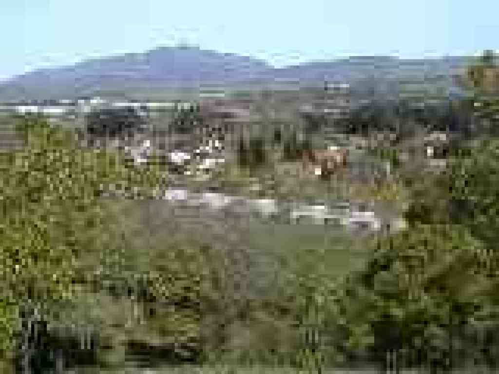 View to Mount Diablo