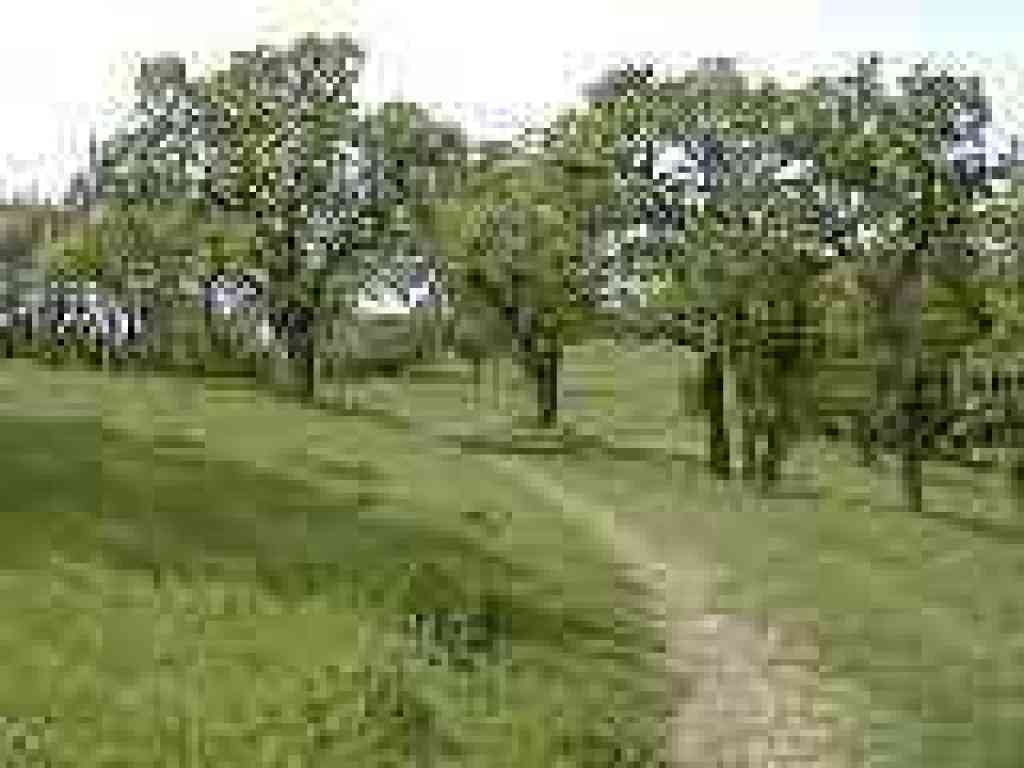 Grayfox Trail
