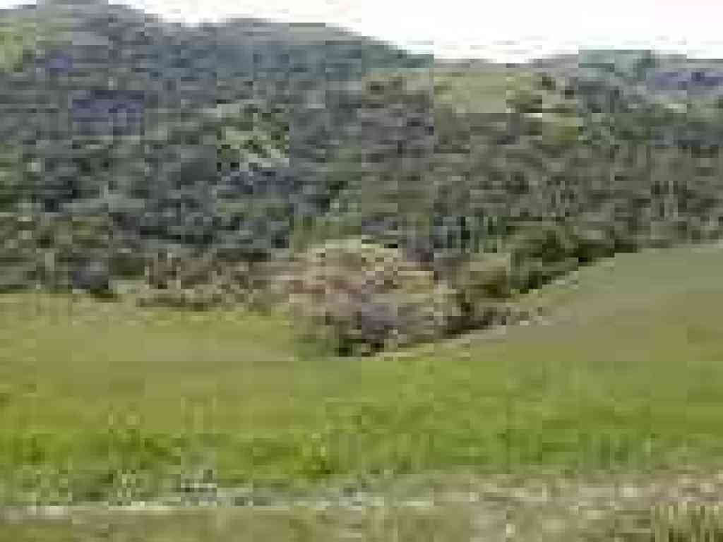 Looking west