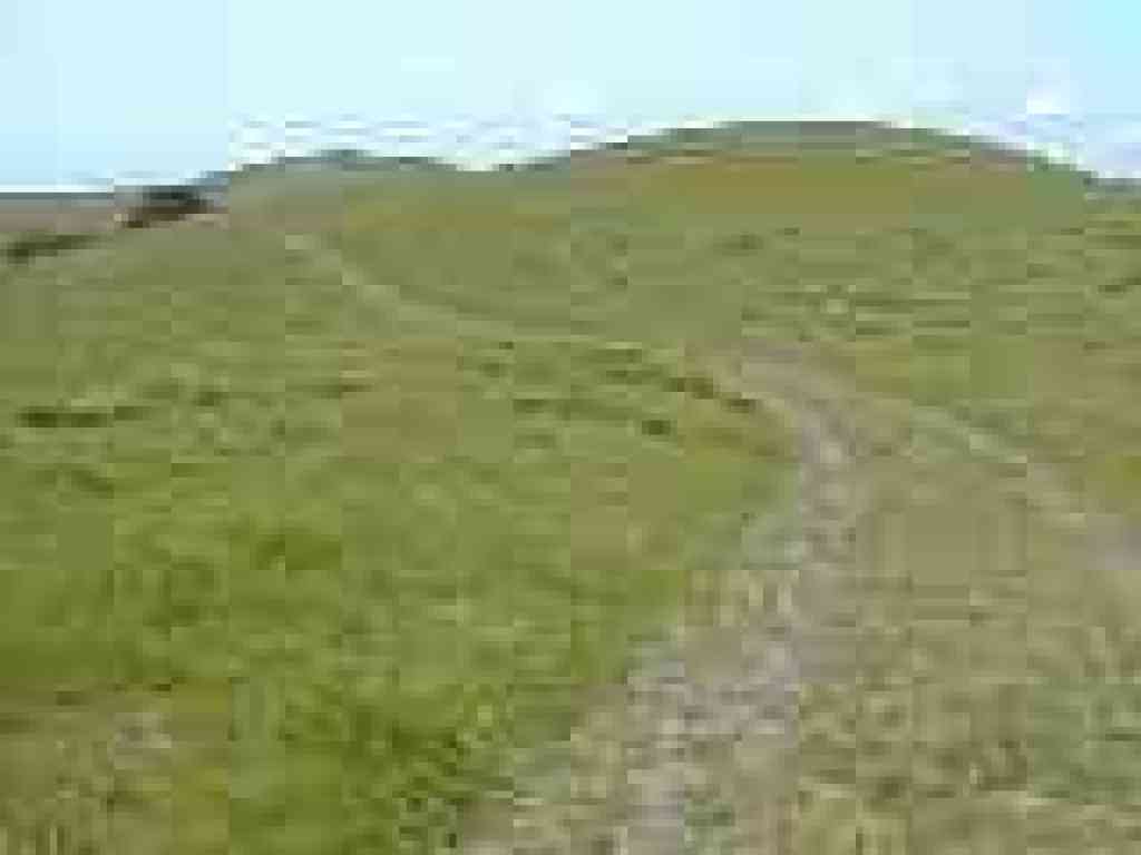 Red Tail Hawk Trail