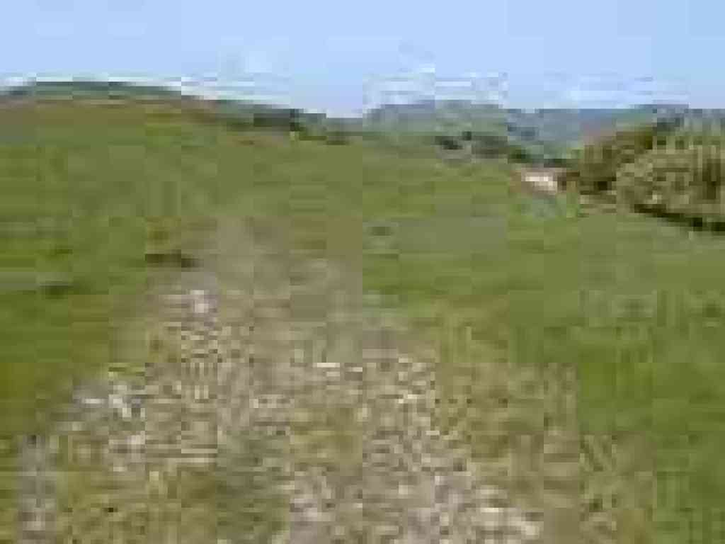 Junction