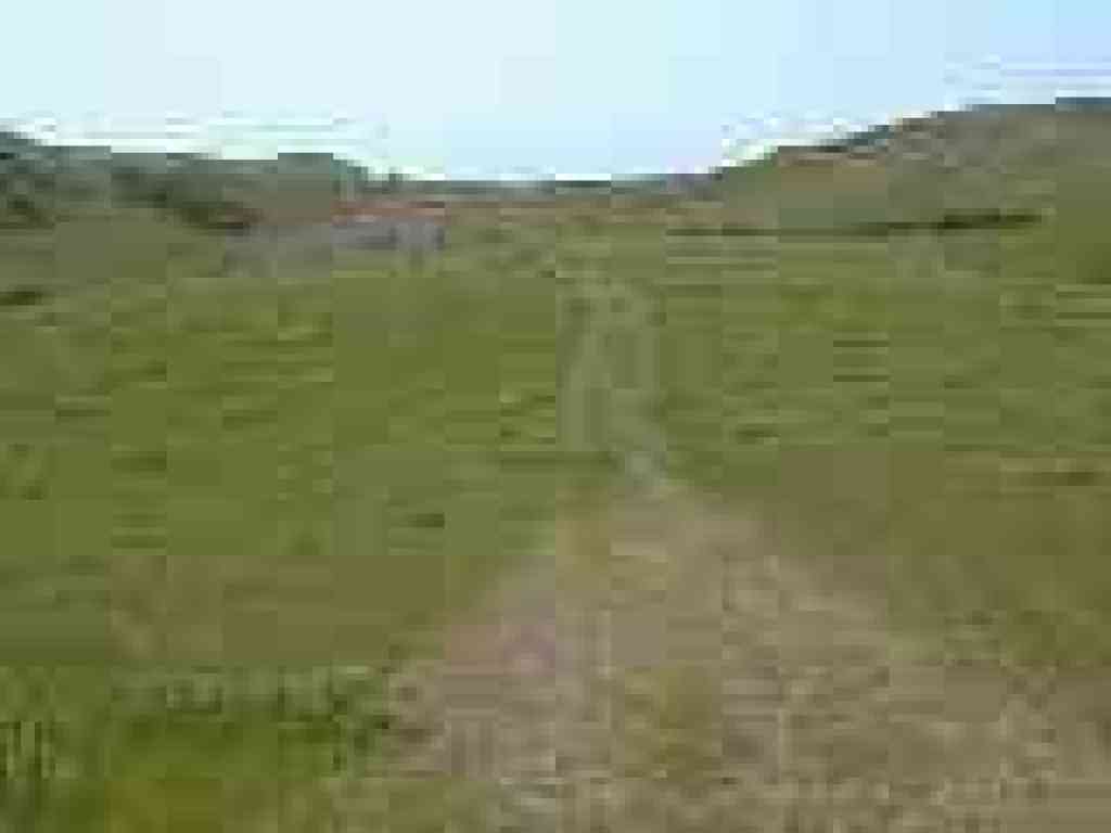 On the dead-end trail