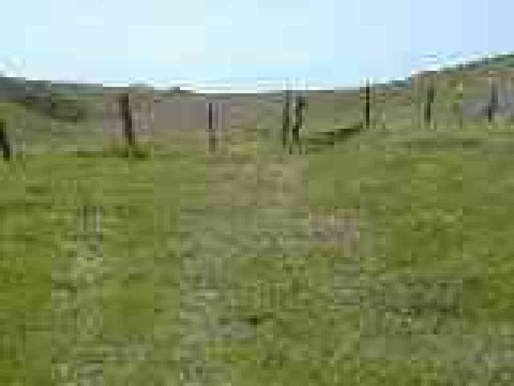 Preserve boundary