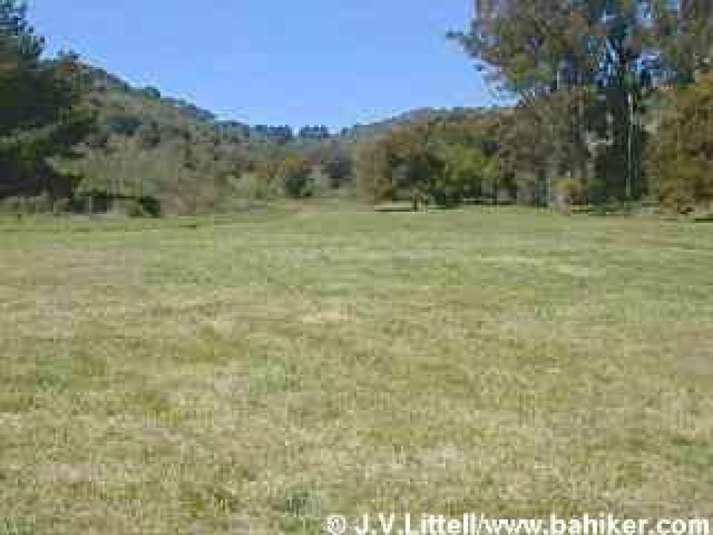 Bort Meadow