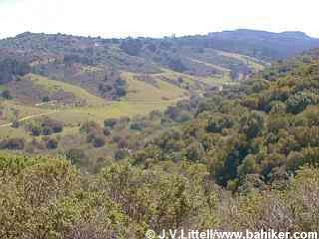 View from Goldenrod Trail