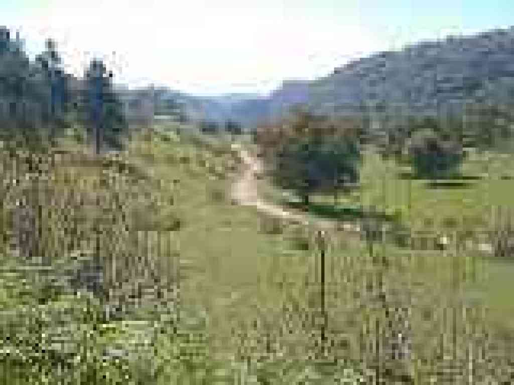 Looking south