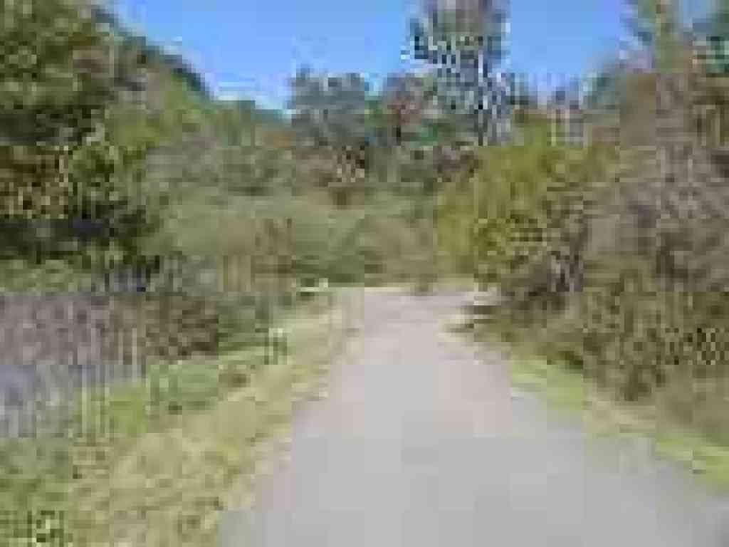 Junction