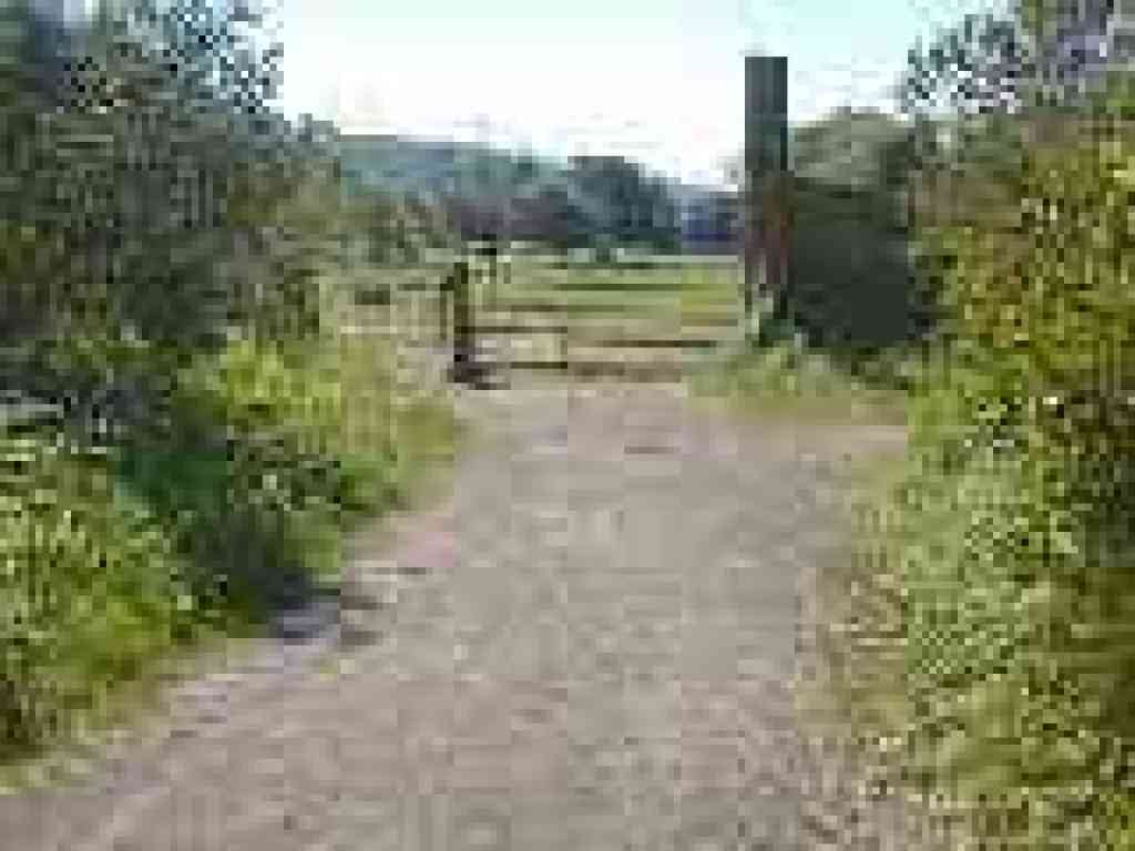 Gate