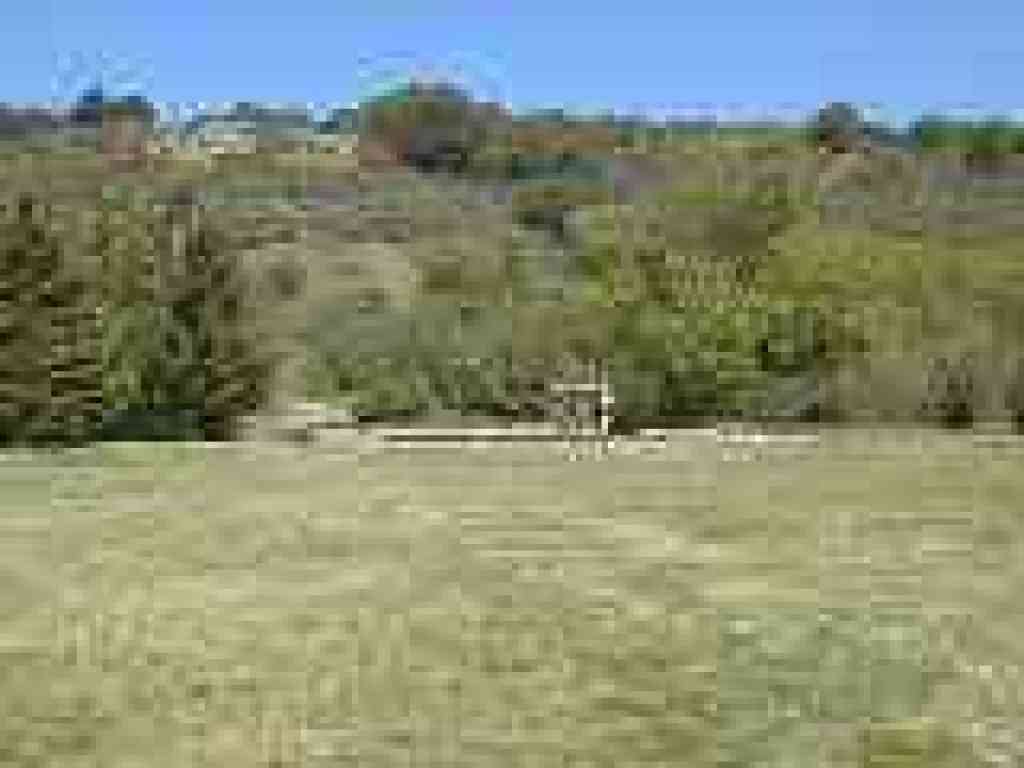 Bort Meadow