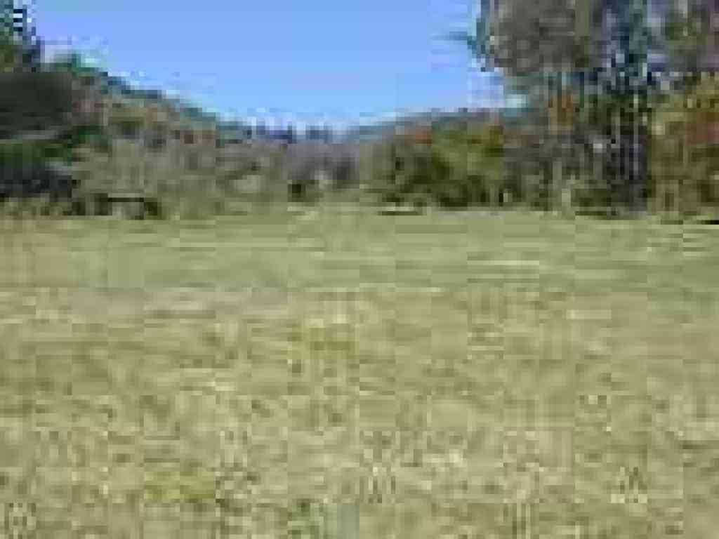 Bort Meadow