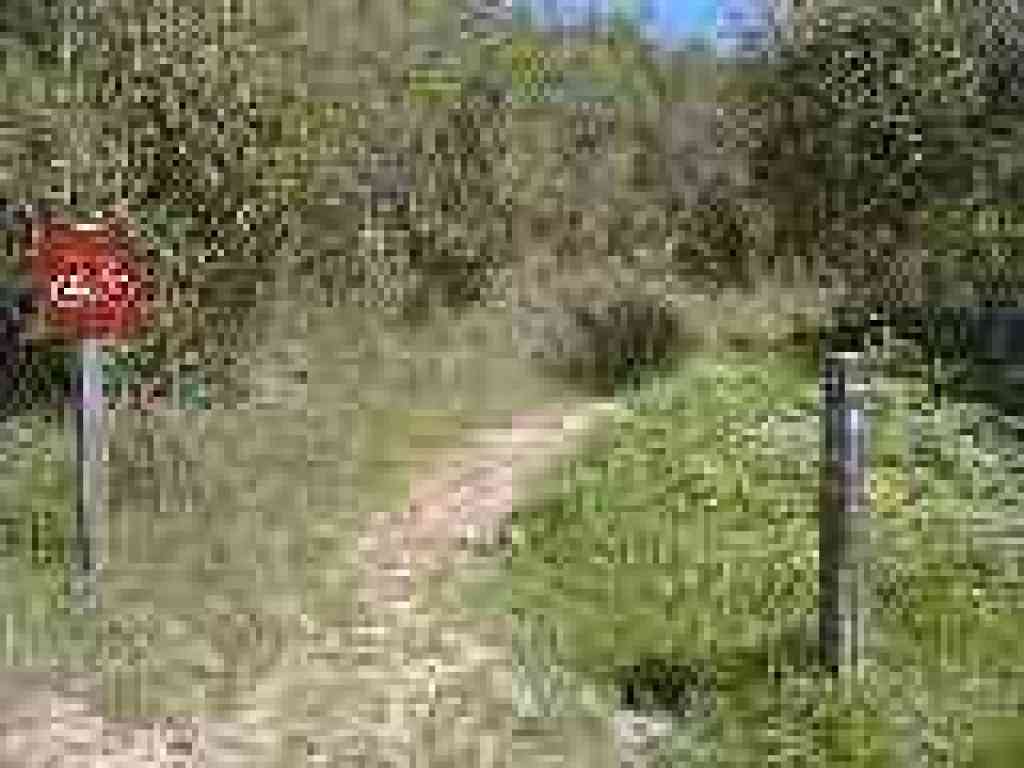 Spur to trailhead