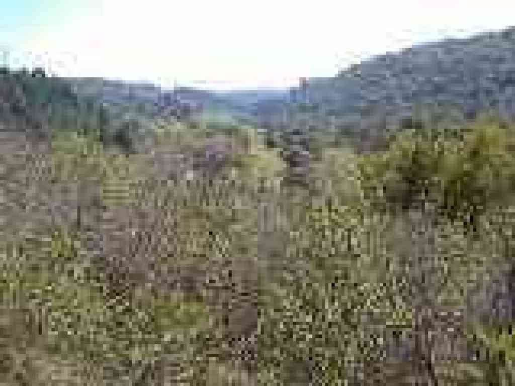 View south