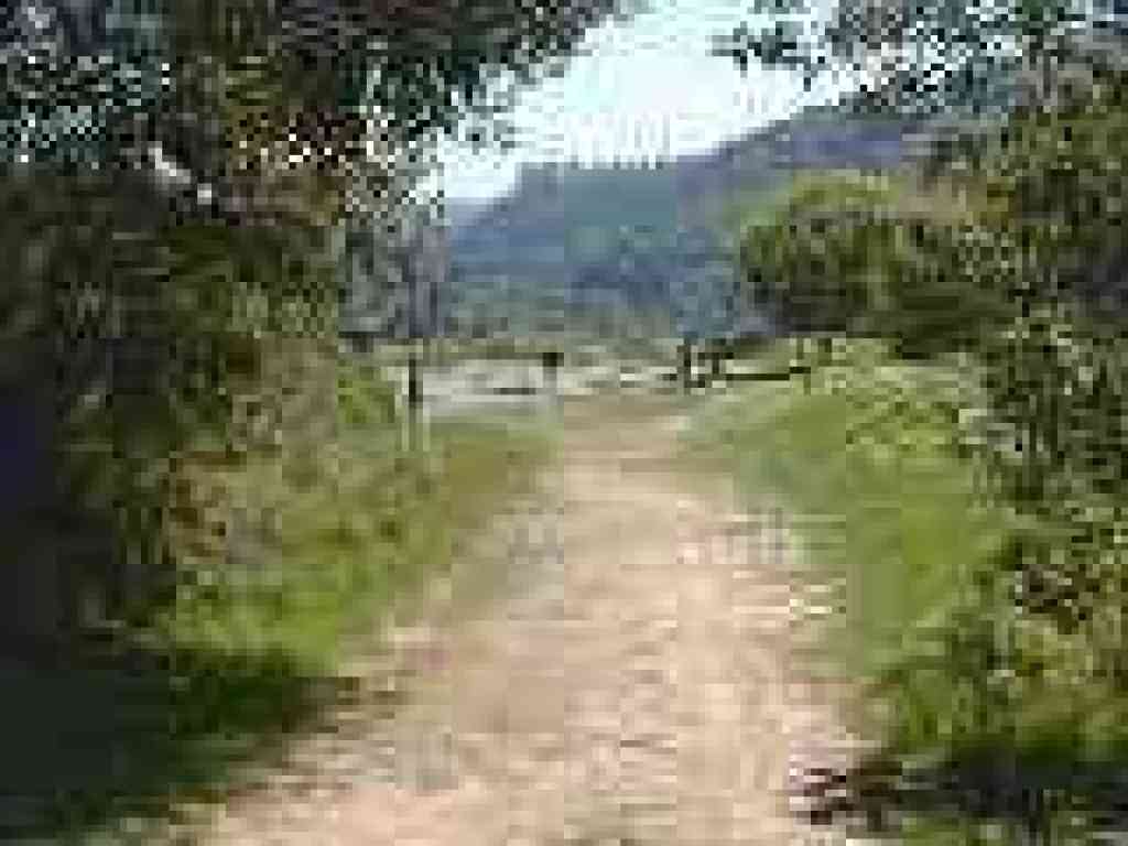 Returning to trailhead