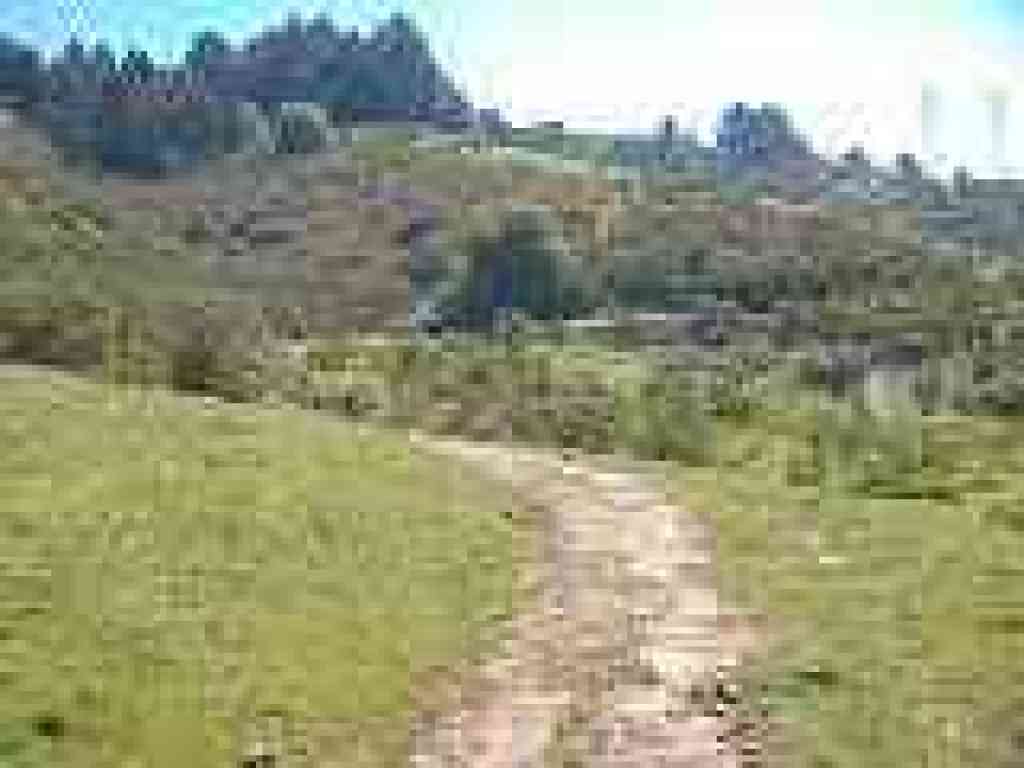 Grass Valley Trail