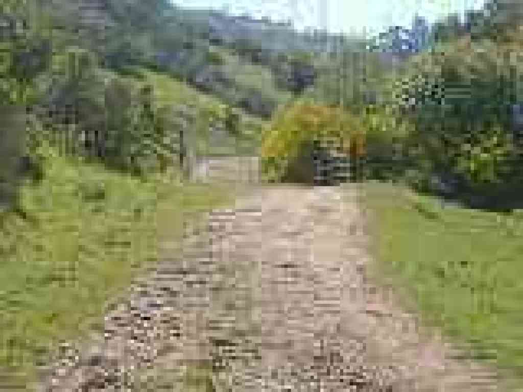 Grass Valley Trail