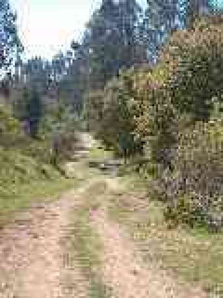 Leaving grassland